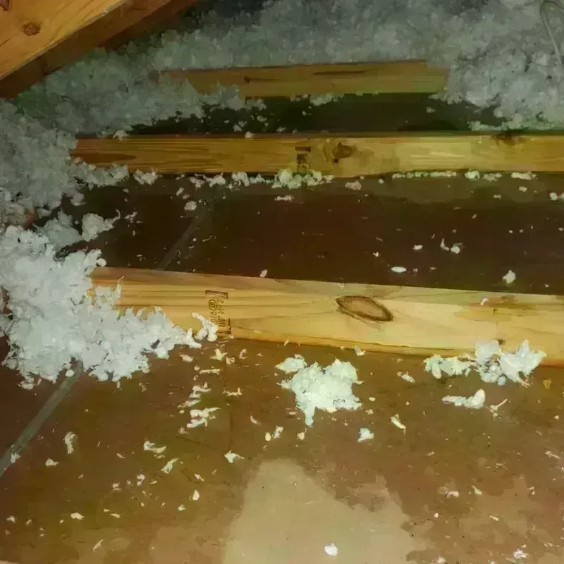 Attic Water Damage in Brookhaven, MS