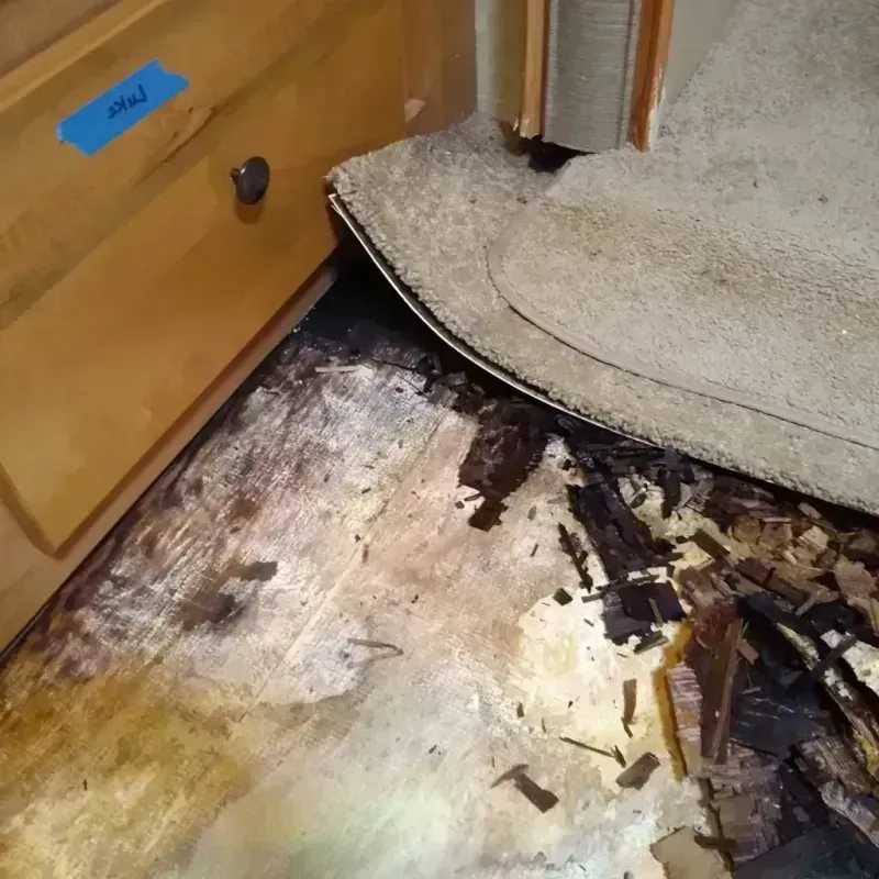 Wood Floor Water Damage in Brookhaven, MS